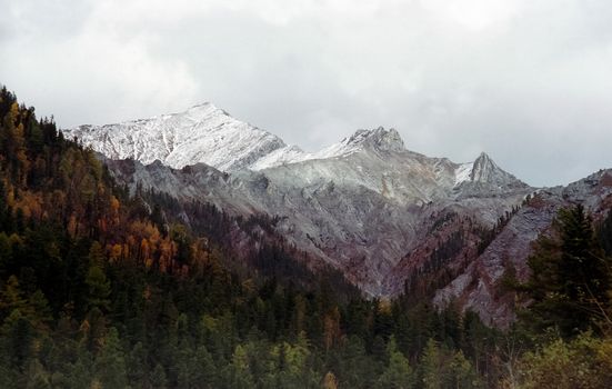 The mountains of the sayans. The nature of the mountains is sayan. Vegetation in the mountains