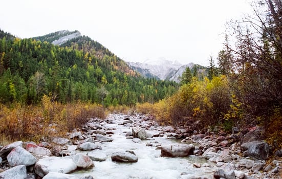 The mountains of the sayans. The nature of the mountains is sayan. Vegetation in the mountains