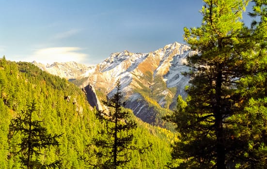 The mountains of the sayans. The nature of the mountains is sayan. Vegetation in the mountains