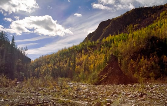 The mountains of the sayans. The nature of the mountains is sayan. Vegetation in the mountains