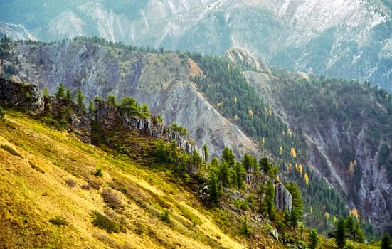 The mountains of the sayans. The nature of the mountains is sayan. Vegetation in the mountains