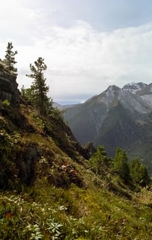 The mountains of the sayans. The nature of the mountains is sayan. Vegetation in the mountains