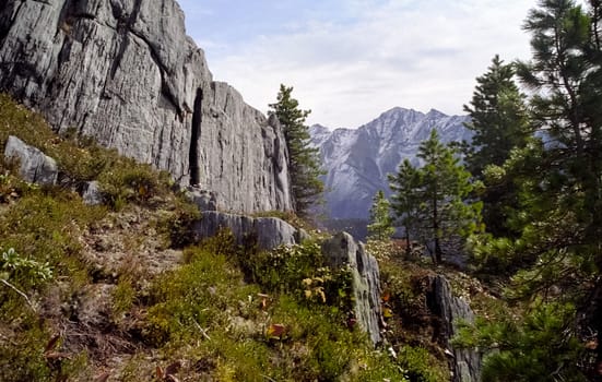 The mountains of the sayans. The nature of the mountains is sayan. Vegetation in the mountains