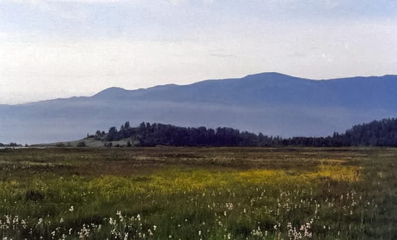 The mountains of the sayans. The nature of the mountains is sayan. Vegetation in the mountains