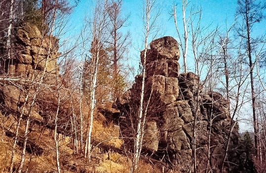 The mountains of the sayans. The nature of the mountains is sayan. Vegetation in the mountains