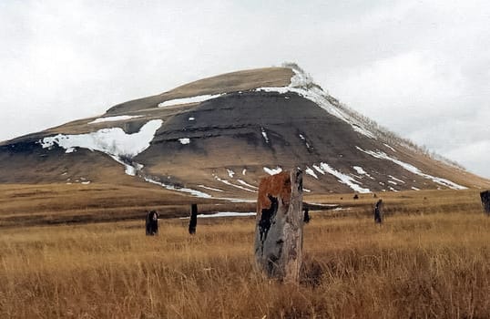The mountains of the sayans. The nature of the mountains is sayan. Vegetation in the mountains