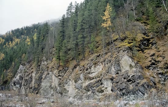The mountains of the sayans. The nature of the mountains is sayan. Vegetation in the mountains
