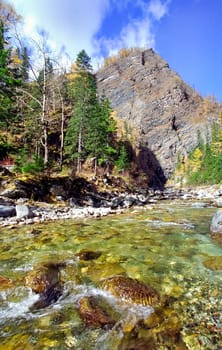 The mountains of the sayans. The nature of the mountains is sayan. Vegetation in the mountains