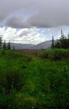 Nature in the mountains of Sayana. Russian taiga nature.