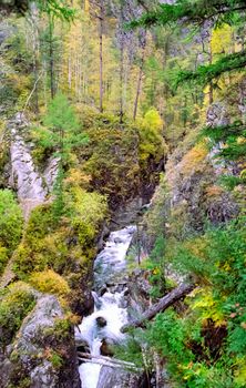 Nature in the mountains of Sayana. Russian taiga nature.