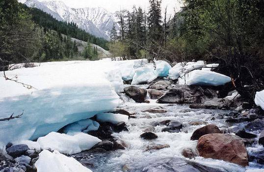 Nature in the mountains of Sayana. Russian taiga nature.