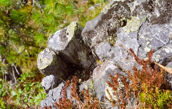 Nature in the mountains of Sayana. Russian taiga nature.