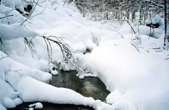 Snow and frost on tree branches and on grass. Winter in Sayan, nature of Russia