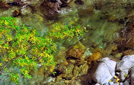 The mountain river is a stream. Water runs on the rocks.