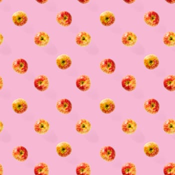 Seamless pattern with ripe apples. Apple seamless pattern on pink background. Tropical fruit abstract background.