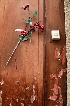 Old wooden door with holy branch at Christmas in Porto, Portugal