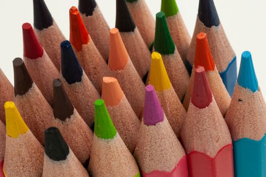 a group of standing colorful pencils in white background
