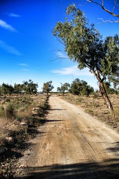Countryside landscape and path with autochthon bushes and eucalyptus trees in Alicante, Spain