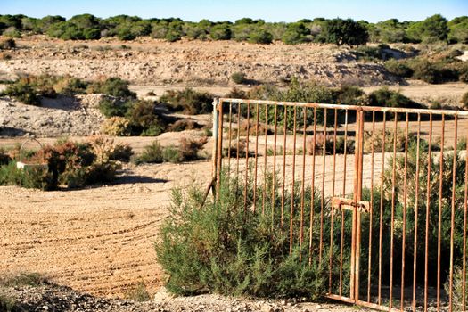 Rusted fence in the bush and abandoned pit in the background