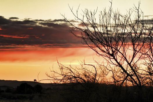 Clouds and lovely sky at Sunset in Alicante in spring