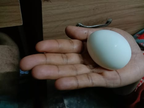 tasty and healthy egg closeup on hand