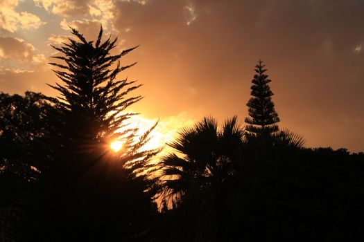 Clouds and lovely sky at Sunset in Alicante in spring