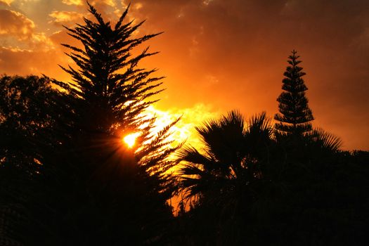 Clouds and lovely sky at Sunset in Alicante in spring