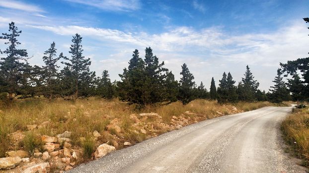 Countryside landscape with native bushes and conifers at sunset in Alicante, Spain