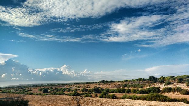 Countryside landscape with native bushes and conifers in Alicante, Spain