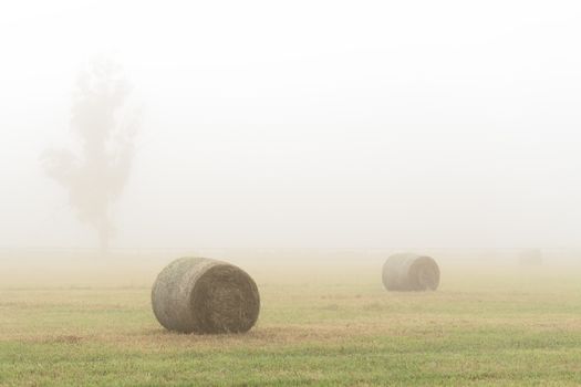 hay bales in foggy field in country farm lands Australia