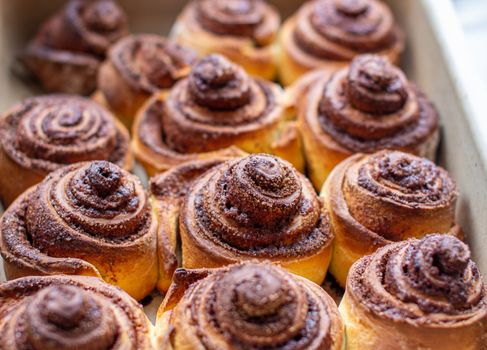 Delicious round cinnamon rolls on a baking sheet after the oven. I cook buns at home in the oven.