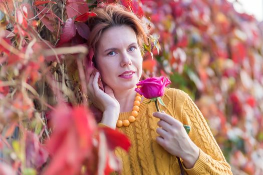 Portrait of 30 year old woman holding rose and standing near bush of red wild vine leaves in autumn park looking at the camera