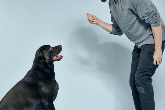 The man trains the dog indoors and gestures with his hands to execute the model's commands. High quality photo