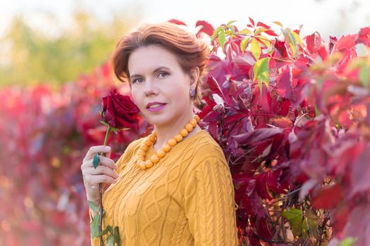 Portrait of 30 year old woman holding rose and standing near bush of red wild vine leaves in autumn park looking at the camera