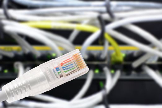 Conceptual shot of data connection with rj45 patch cable in foreground and data switch with connected patch cords in background.