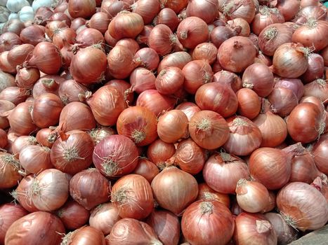 healthy and spicy onion stock on shop