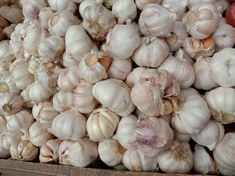 healthy and spicy garlic stock on shop