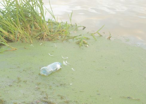 A plastic bottle floats in the mud near the shore .Plastic pollution of the environment