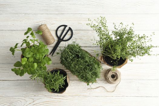 Different herbs on white wooden background, top view