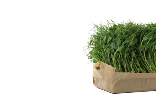 Green peas sprouts isolated on white background