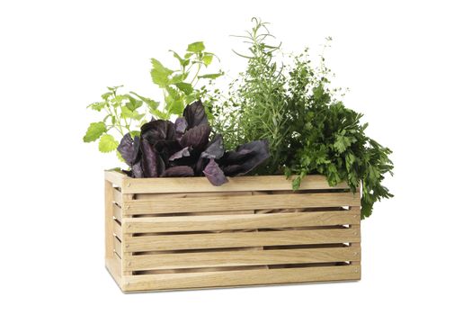 Wooden box with different herbs isolated on white background