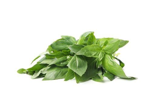 Fresh green basil isolated on white background