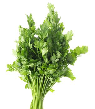 Fresh green parsley isolated on white background