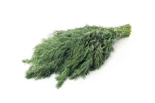 Fresh green dill isolated on white background