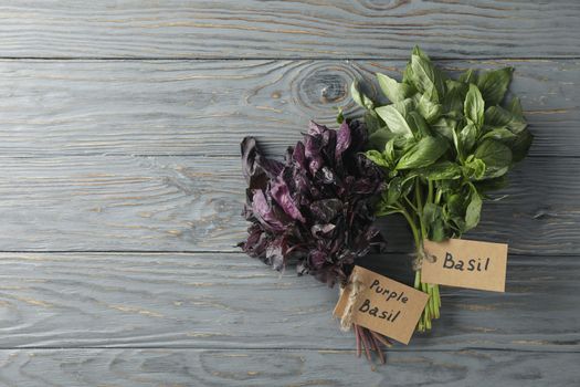 Basil and purple basil on gray wooden background, space for text