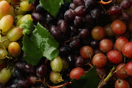 Fresh ripe grape on whole background, close up