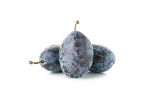 Fresh blue plums isolated on white background