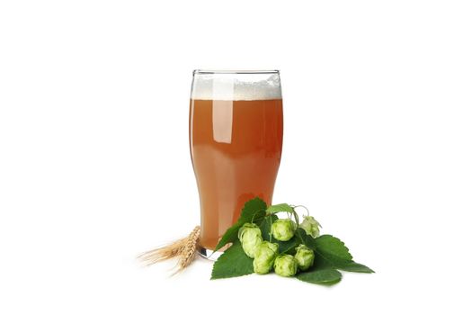 Beer and green hop isolated on white background