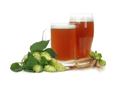 Beer and green hop isolated on white background