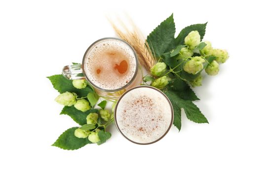 Beer and green hop isolated on white background